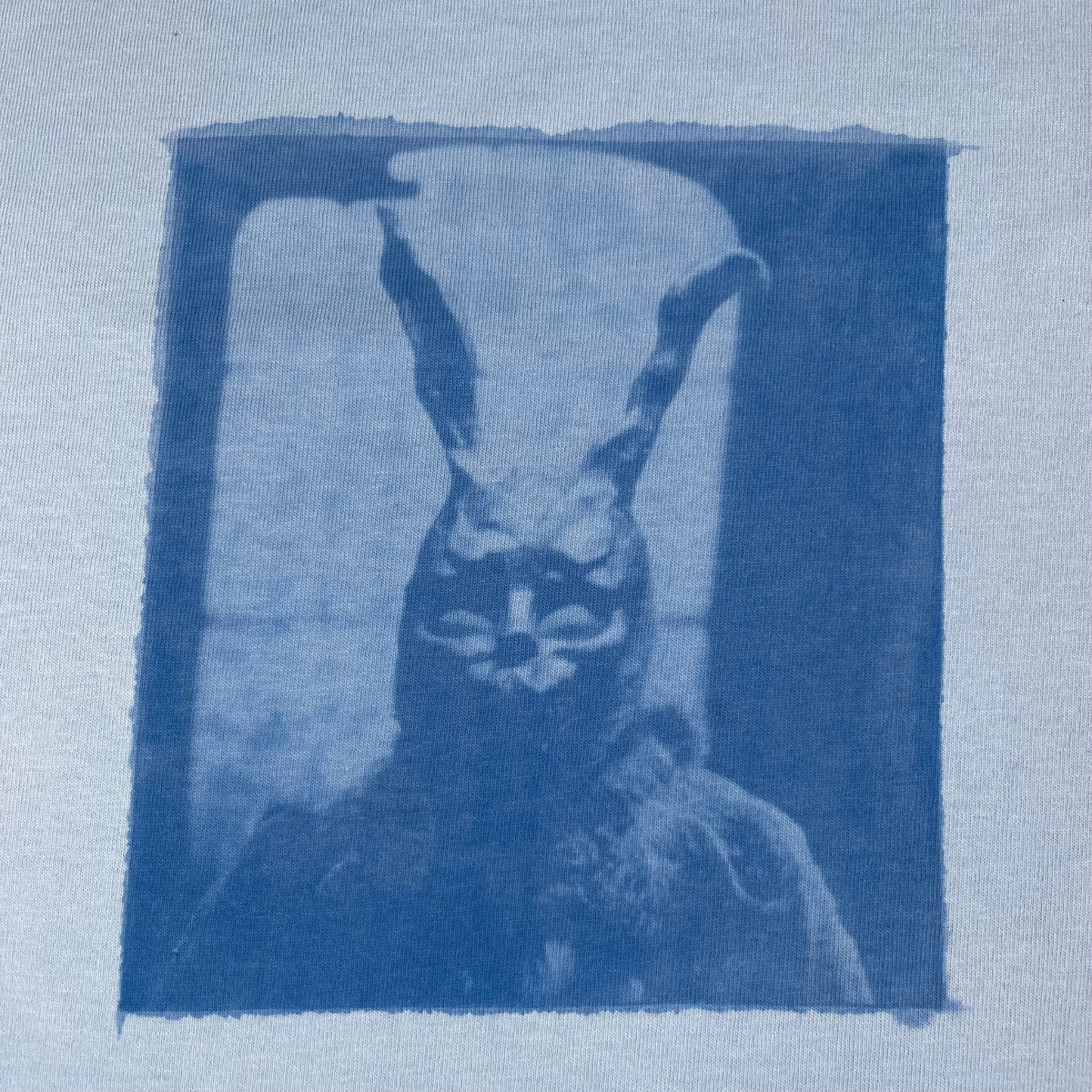 Donnie Darko Sunprint Baby Tee